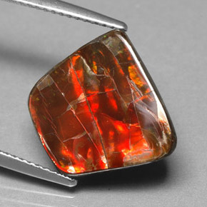 Ammolita multicolorido natural 6,70ct, forma extravagante, opaco