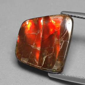 Ammolita multicolorido natural 6,70ct, forma extravagante, opaco