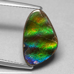 Ammolita multicolorido natural 4,54ct, forma extravagante, opaco