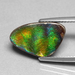 Ammolita multicolorido natural 4,54ct, forma extravagante, opaco