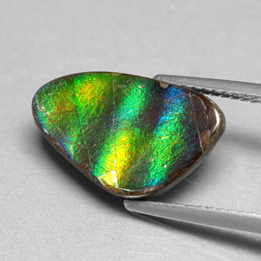 Ammolita multicolorido natural 4,54ct, forma extravagante, opaco
