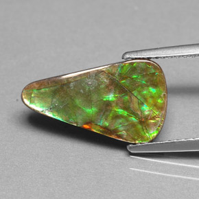 Ammolita multicolorido natural 2,40ct, forma extravagante, opaco