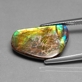 Ammolita multicolorido natural 9,00ct, forma extravagante, opaco