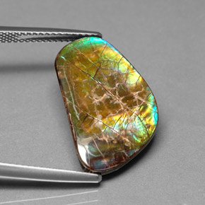 Ammolita multicolorido natural 9,00ct, forma extravagante, opaco