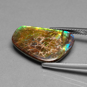 Ammolita multicolorido natural 9,00ct, forma extravagante, opaco