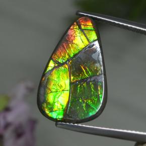 Ammolita multicolorido natural 8,39ct, forma extravagante, opaco
