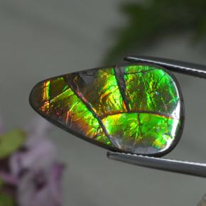 Ammolita multicolorido natural 8,39ct, forma extravagante, opaco