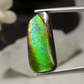 Ammolita multicolorido natural 5,29ct, forma extravagante, opaco