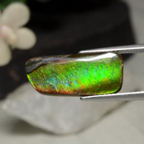 Ammolita multicolorido natural 5,29ct, forma extravagante, opaco