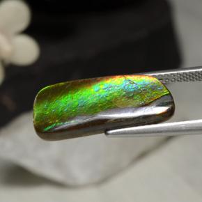 Ammolita multicolorido natural 5,29ct, forma extravagante, opaco
