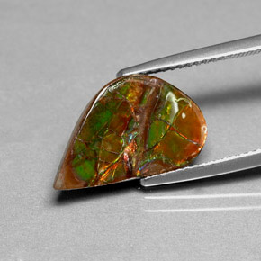 Ammolita multicolorido natural 3,59ct, forma extravagante, opaco