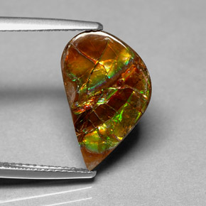 Ammolita multicolorido natural 3,59ct, forma extravagante, opaco