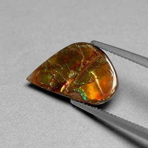 Ammolita multicolorido natural 3,59ct, forma extravagante, opaco