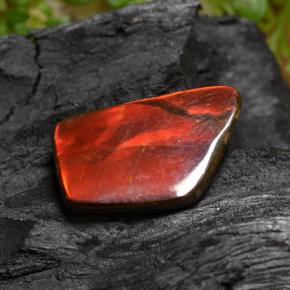 Amolita Multicolorido Natural 6.67ct, Forma extravagante, Opaco