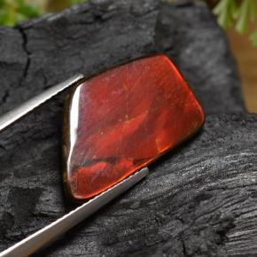 Amolita Multicolorido Natural 6.67ct, Forma extravagante, Opaco