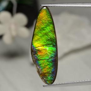 Ammolita multicolorido natural 5,43ct, forma extravagante, opaco