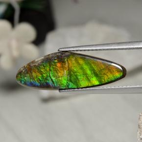 Ammolita multicolorido natural 5,43ct, forma extravagante, opaco