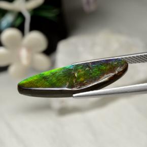 Ammolita multicolorido natural 5,43ct, forma extravagante, opaco