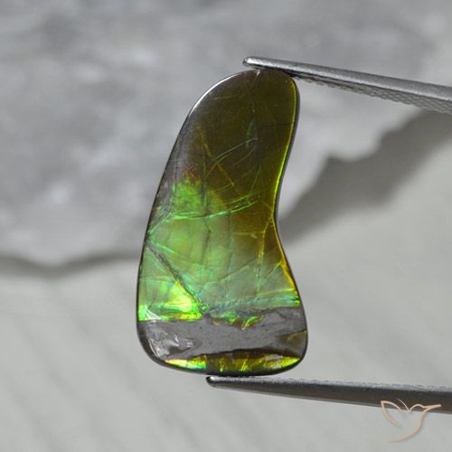 7.43ct Natural Multicolorido amolita, Chique, Opaco