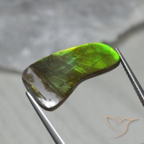amolita Multicolorido Natural 7.43ct, Chique, Opaco