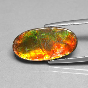 Ammolita multicolorido natural 6,13ct, forma extravagante, opaco