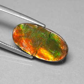 Ammolita multicolorido natural 6,13ct, forma extravagante, opaco