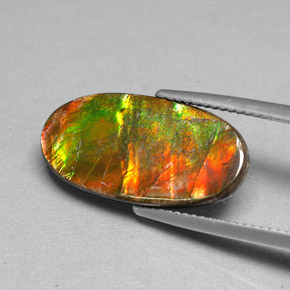 Ammolita multicolorido natural 6,13ct, forma extravagante, opaco