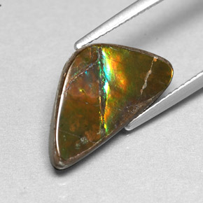 Amolita Multicolorido Natural 3.46ct, Forma extravagante, Opaco