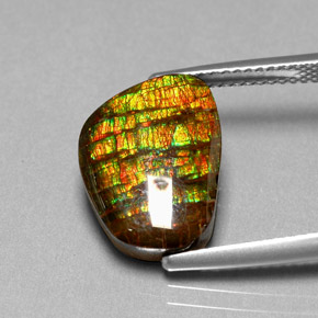 Ammolita multicolorido natural 6,74ct, forma extravagante, opaco
