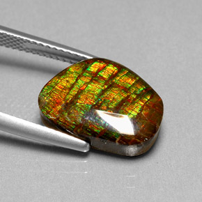 Ammolita multicolorido natural 6,74ct, forma extravagante, opaco