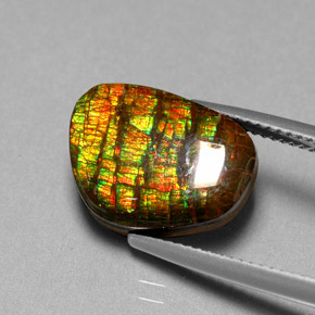 Ammolita multicolorido natural 6,74ct, forma extravagante, opaco