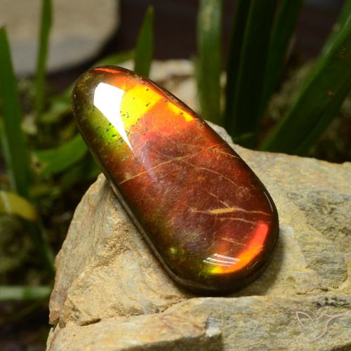 23.51ct Natural Multicolorido amolita, Chique, Opaco