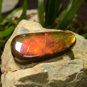 amolita Multicolorido Natural 23.51ct, Chique, Opaco