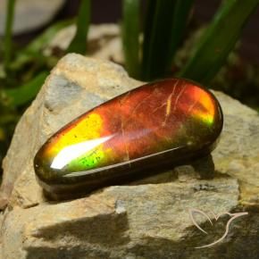 amolita Multicolorido Natural 23.51ct, Chique, Opaco