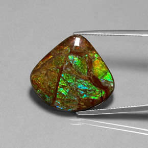 Ammolita multicolorido natural 18,68ct, forma extravagante, opaco