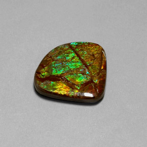 Ammolita multicolorido natural 18,68ct, forma extravagante, opaco