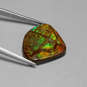 Ammolita multicolorido natural 18,68ct, forma extravagante, opaco