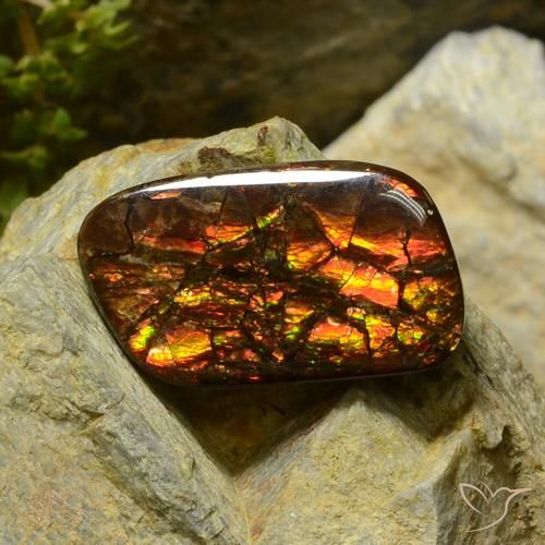17.42ct Natural Multicolorido amolita, Chique, Opaco