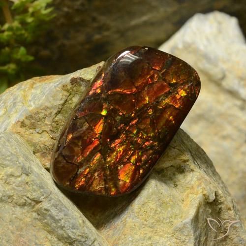 amolita Multicolorido Natural 17.42ct, Chique, Opaco
