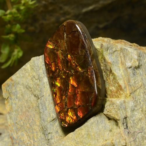amolita Multicolorido Natural 17.42ct, Chique, Opaco