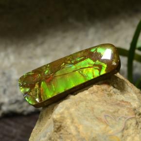 amolita Multicolorido Natural 17.42ct, Chique, Opaco