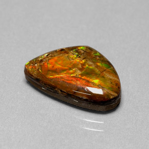 Ammolita multicolorido natural 5,71ct, forma extravagante, opaco