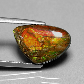 Ammolita multicolorido natural 5,71ct, forma extravagante, opaco