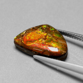 Ammolita multicolorido natural 5,71ct, forma extravagante, opaco