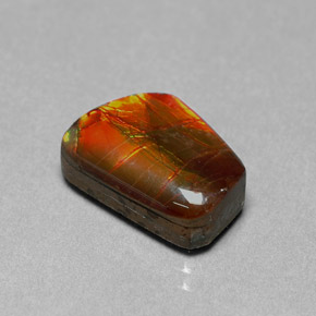 Ammolita multicolorido natural 6,41ct, forma extravagante, opaco