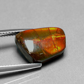 Ammolita multicolorido natural 6,41ct, forma extravagante, opaco