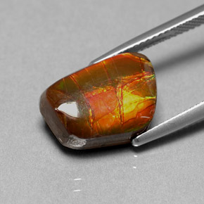 Ammolita multicolorido natural 6,41ct, forma extravagante, opaco