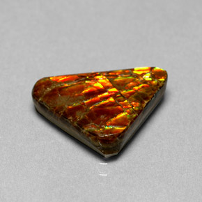 Ammolita multicolorido natural 6,44ct, forma extravagante, opaco