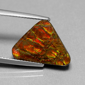 Ammolita multicolorido natural 6,44ct, forma extravagante, opaco