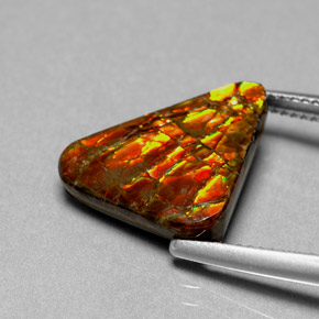 Ammolita multicolorido natural 6,44ct, forma extravagante, opaco